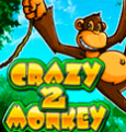 Crazy Monkey 2