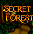 Secret Forest