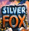 Silver Fox