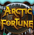 В игровом зале Вулкан автомат Arctic Fortune